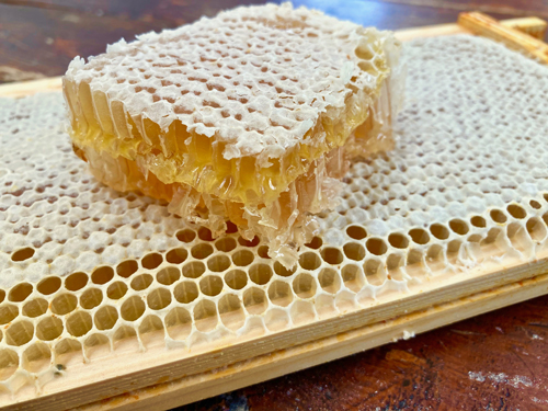 English Wildflower Honeycomb, Whole Frame