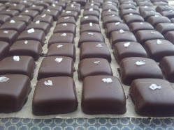 Honey Chocolates From Suffolk Beekeepers – Now available at The Hive Honey Shop London