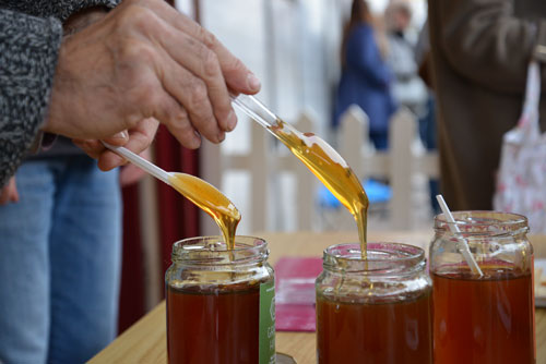 Greek Honey Tasting outside The Hive Honey Shop
