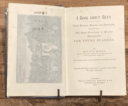 About Bees-1st Ed British 1888- 40 illustrations