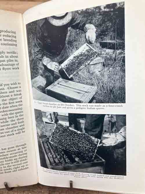 Beekeepers Folly- British 1949 1st edition, 25 plates-25 illustrations