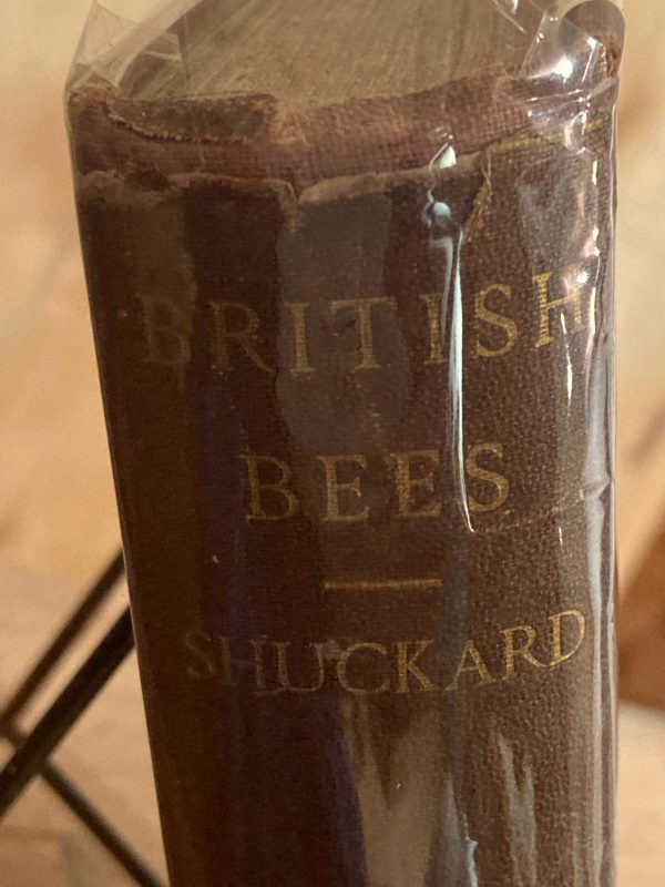 British Bees, British 1866- full 16 colour bee plates