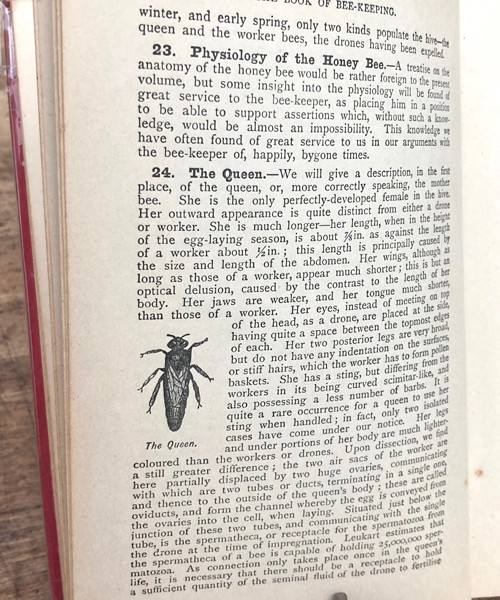 The Book of Beekeeping-1899 British, amazing vintage plates