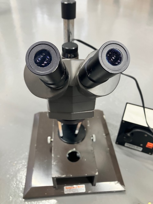 Professional Stereo Zoom Microscope – Beekeeping Use THE HIVE