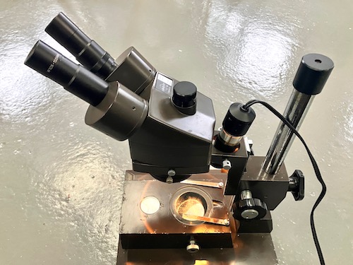 Professional Stereo Zoom Microscope – Beekeeping Use THE HIVE